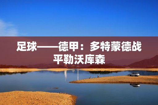 足球——德甲：多特蒙德战平勒沃库森